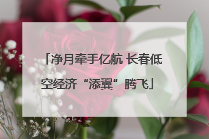 净月牵手亿航 长春低空经济“添翼”腾飞