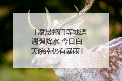 凌晨祁门等地遭遇强降水 今日白天皖南仍有暴雨