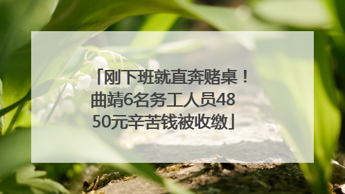 刚下班就直奔赌桌！曲靖6名务工人员4850元辛苦钱被收缴