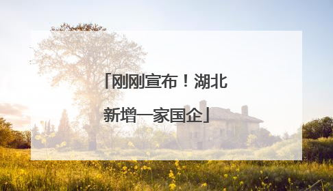 刚刚宣布！湖北新增一家国企