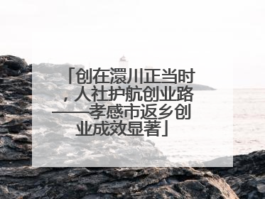 创在澴川正当时，人社护航创业路——孝感市返乡创业成效显著