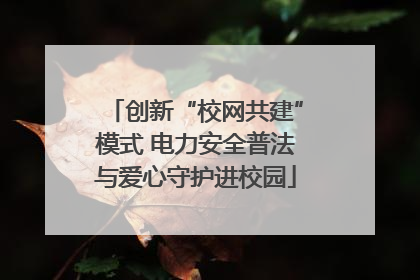 创新“校网共建”模式 电力安全普法与爱心守护进校园