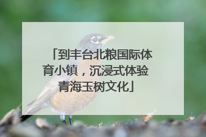 到丰台北粮国际体育小镇，沉浸式体验青海玉树文化
