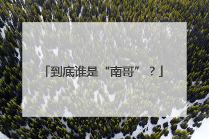 到底谁是“南哥”？