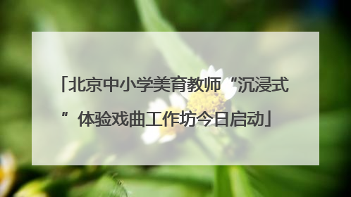 北京中小学美育教师“沉浸式”体验戏曲工作坊今日启动