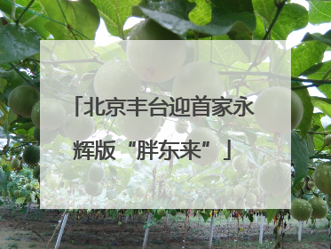 北京丰台迎首家永辉版“胖东来”