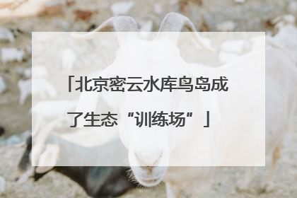 北京密云水库鸟岛成了生态“训练场”