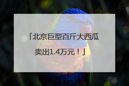 北京巨型百斤大西瓜卖出1.4万元！