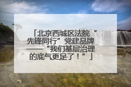 北京西城区法院“先锋同行”党建品牌——“我们基层治理的底气更足了！”