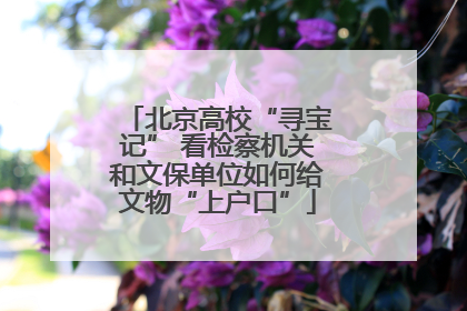 北京高校“寻宝记” 看检察机关和文保单位如何给文物“上户口”