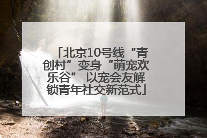 北京10号线“青创村”变身“萌宠欢乐谷” 以宠会友解锁青年社交新范式