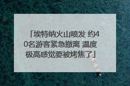 埃特纳火山喷发 约40名游客紧急撤离 温度极高感觉要被烤焦了
