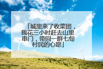 城里来了收菜团，我花三小时赶去山里串门，带回一群七旬村民的心愿