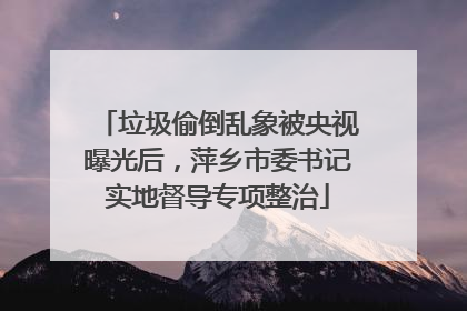 垃圾偷倒乱象被央视曝光后，萍乡市委书记实地督导专项整治