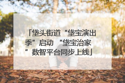 垡头街道“垡宝演出季”启动 “垡宝治家”数智平台同步上线
