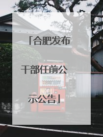 合肥发布干部任前公示公告
