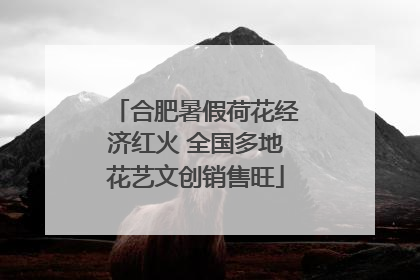 合肥暑假荷花经济红火 全国多地花艺文创销售旺