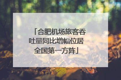 合肥机场旅客吞吐量同比增幅位居全国第一方阵