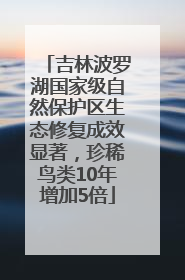 吉林波罗湖国家级自然保护区生态修复成效显著，珍稀鸟类10年增加5倍