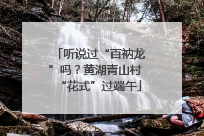 听说过“百衲龙”吗？黄湖青山村“花式”过端午