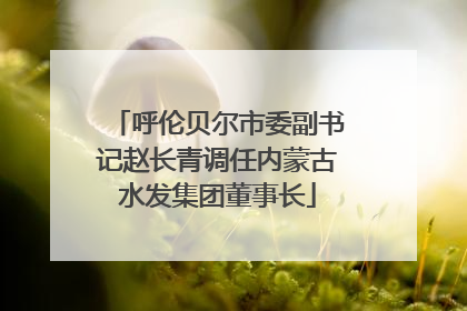 呼伦贝尔市委副书记赵长青调任内蒙古水发集团董事长