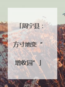 周宁县：方寸地变“增收园”