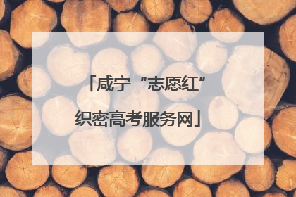 咸宁“志愿红”织密高考服务网