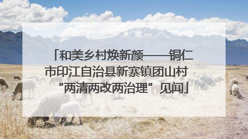 和美乡村焕新颜——铜仁市印江自治县新寨镇团山村“两清两改两治理”见闻