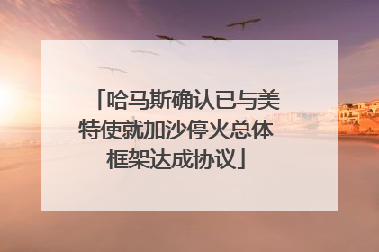 哈马斯确认已与美特使就加沙停火总体框架达成协议