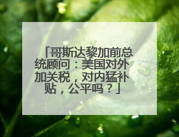 哥斯达黎加前总统顾问：美国对外加关税，对内猛补贴，公平吗？