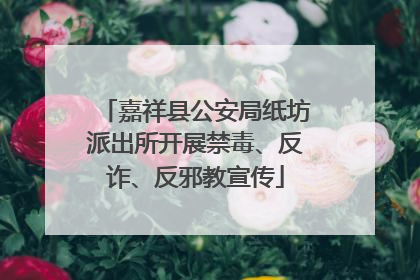 嘉祥县公安局纸坊派出所开展禁毒、反诈、反邪教宣传