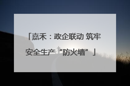 嘉禾：政企联动 筑牢安全生产“防火墙”
