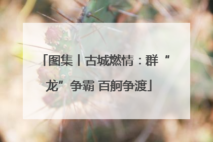 图集丨古城燃情：群“龙”争霸 百舸争渡