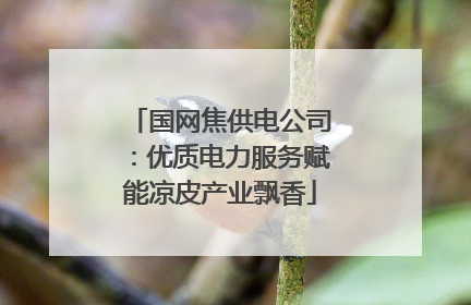 国网焦供电公司：优质电力服务赋能凉皮产业飘香