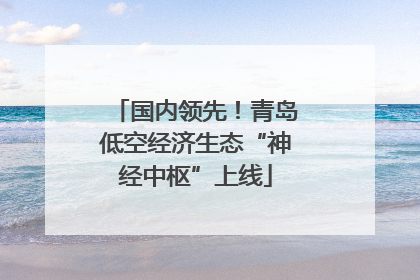 国内领先！青岛低空经济生态“神经中枢”上线