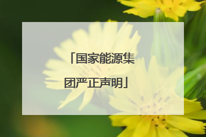 国家能源集团严正声明