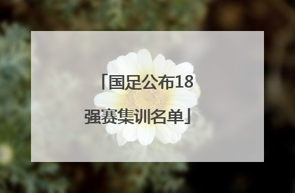 国足公布18强赛集训名单