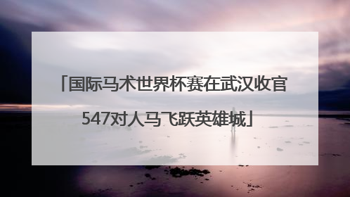 国际马术世界杯赛在武汉收官 547对人马飞跃英雄城