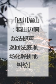 四川眉山：稻田边响起法槌声 巡回法庭现场化解耕地纠纷