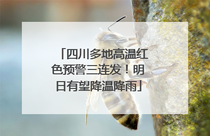 四川多地高温红色预警三连发！明日有望降温降雨