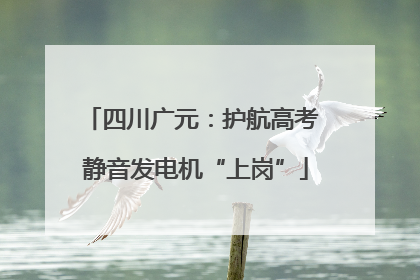 四川广元：护航高考 静音发电机“上岗”