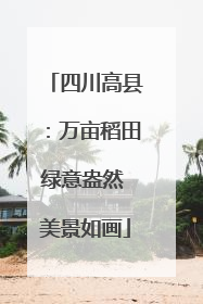 四川高县：万亩稻田绿意盎然 美景如画