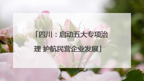 四川：启动五大专项治理 护航民营企业发展