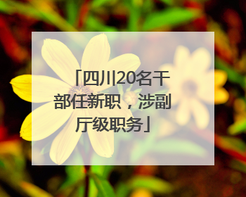 四川20名干部任新职，涉副厅级职务