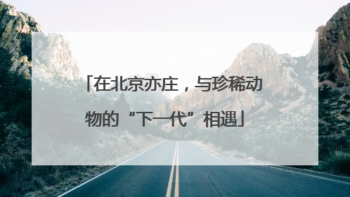 在北京亦庄，与珍稀动物的“下一代”相遇