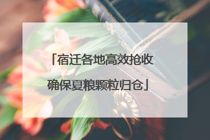 宿迁各地高效抢收 确保夏粮颗粒归仓
