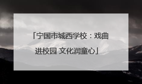 宁国市城西学校：戏曲进校园 文化润童心