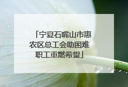 宁夏石嘴山市惠农区总工会助困难职工重燃希望
