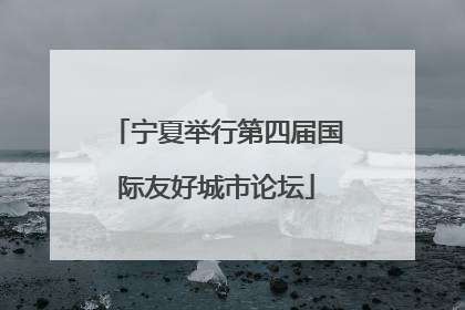 宁夏举行第四届国际友好城市论坛