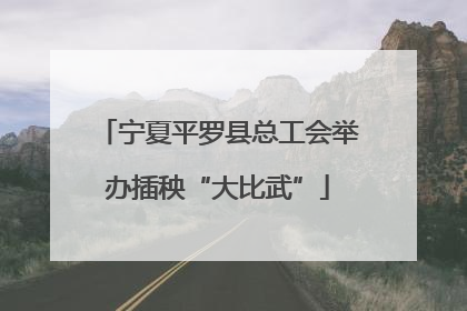 宁夏平罗县总工会举办插秧“大比武”